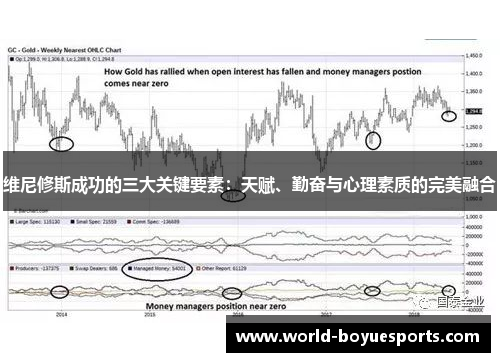 维尼修斯成功的三大关键要素：天赋、勤奋与心理素质的完美融合